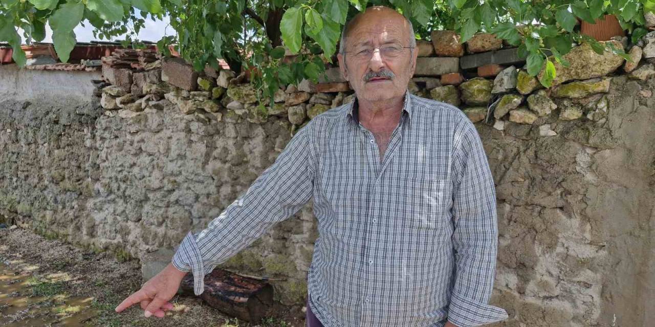 Köpek Saldırısında Eşini Kaybetti, Yaşananları Unutamıyor