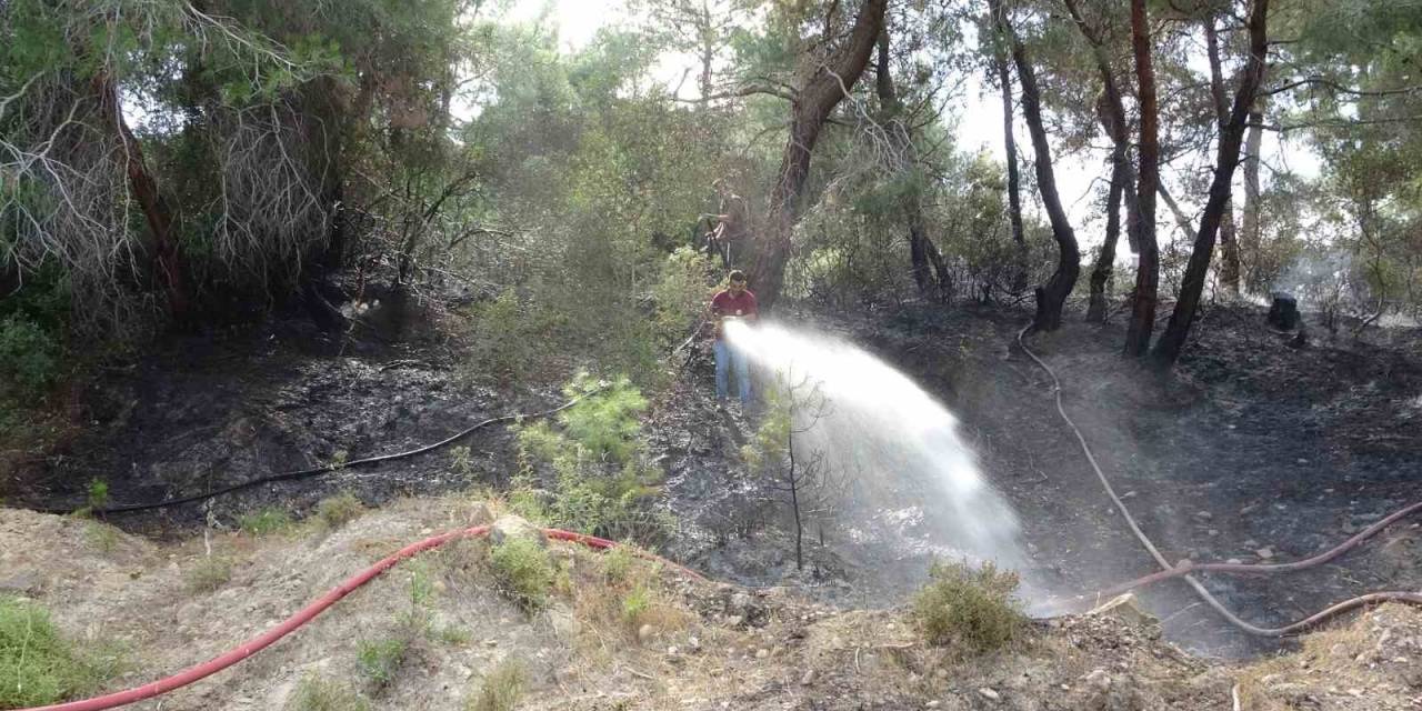Manavgat’ta Orman Yangını Ucuz Atlatıldı