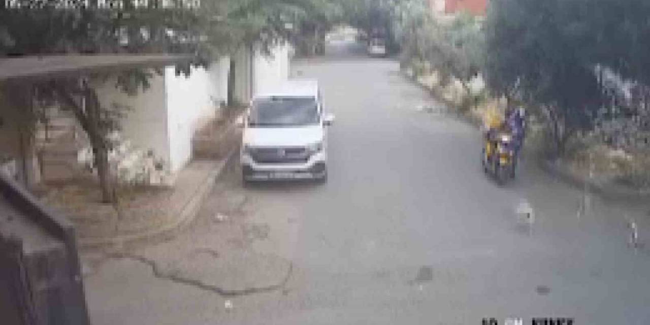 Bilye Atan Havalı Tabancayla Köpeğe Ateş Açtı