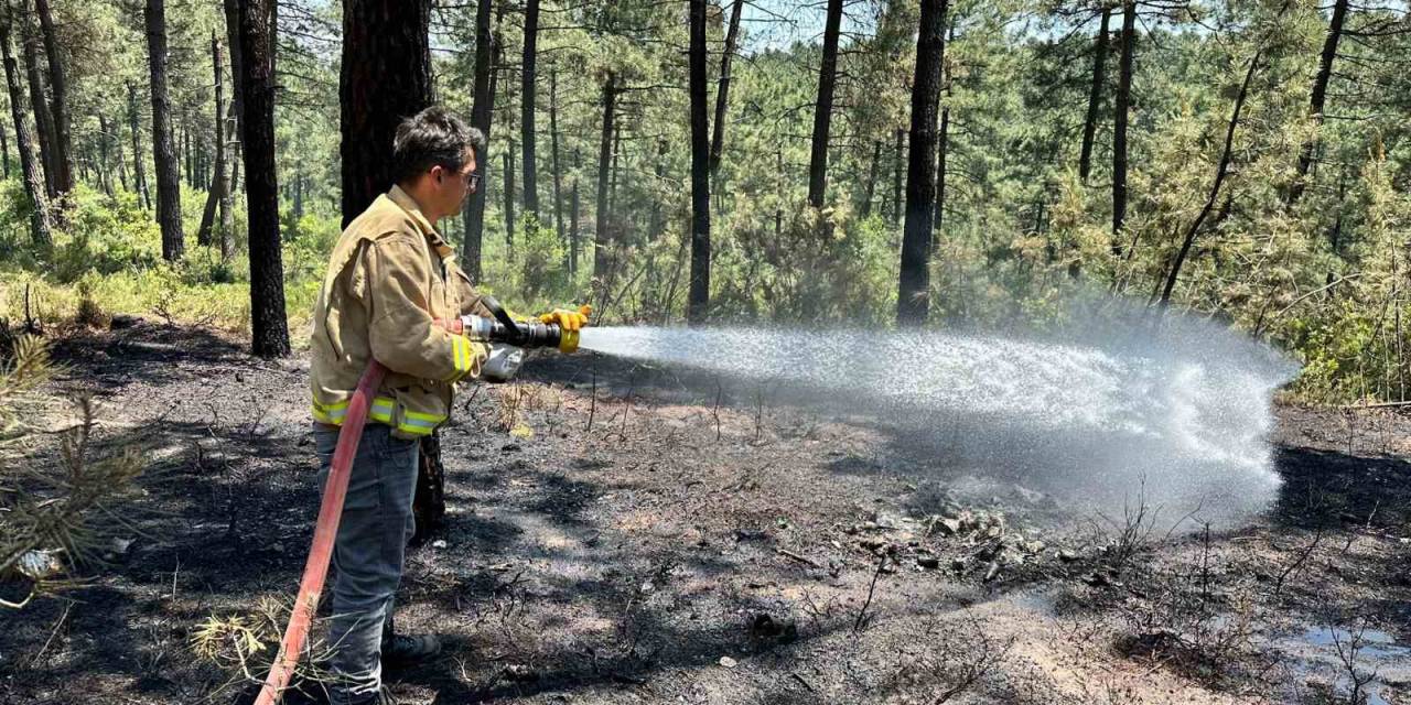 Pendik’te Ormanlık Alanda Yangın