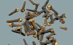 Karanfil ile yorgunluklara son!