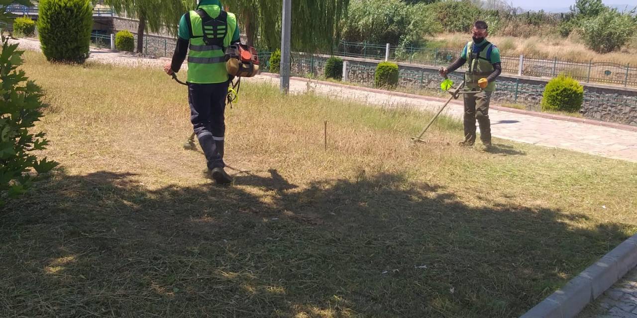 Nazilli Belediyesi, Yeşil Alanları Bakıma Aldı