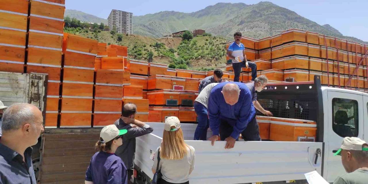Devletin Desteğiyle Organik Bal Üretimi Ve Arı Besiciliği Yaygınlaşıyor