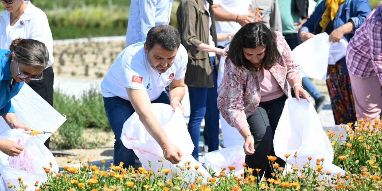 Tarihi Alan’da “Gazi Köylerde Şifa Çiçekleri Açıyor” Projesi Hayata Geçirildi