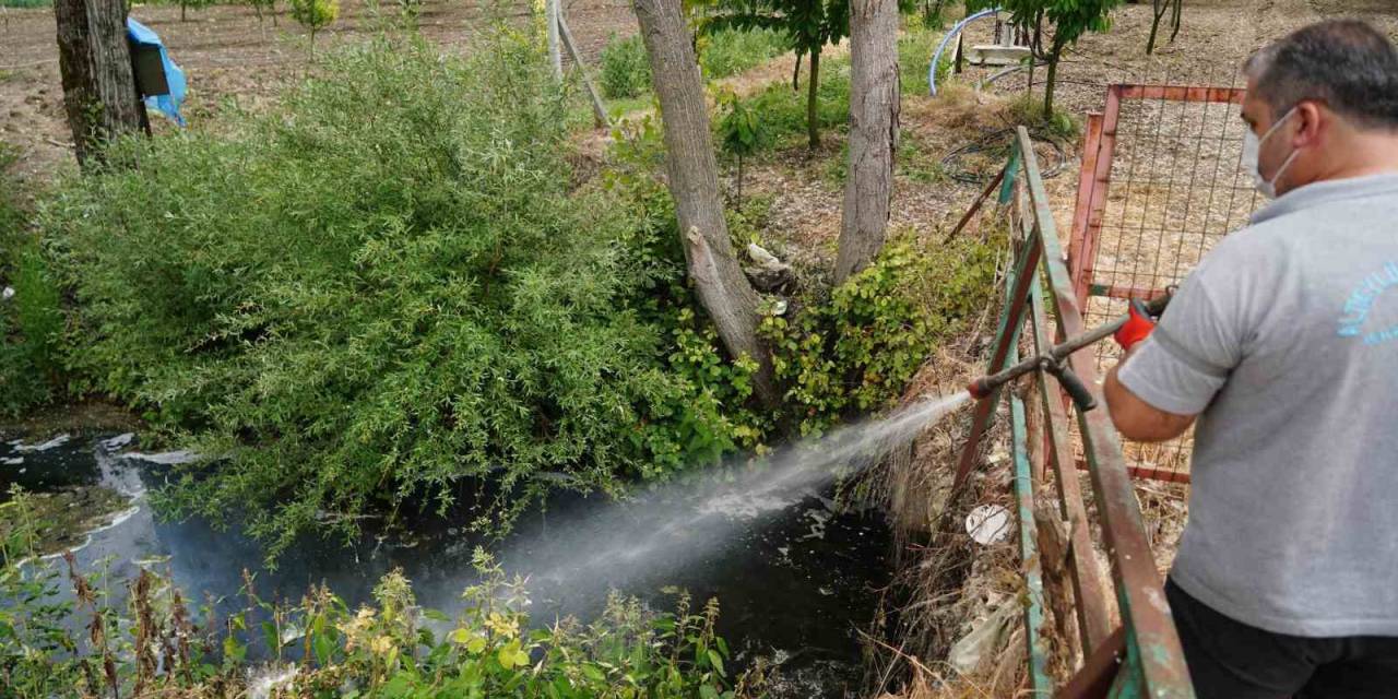 Altıeylül Belediyesi’nden Sivrisinek Ve Haşerelere Karşı İlaçlama