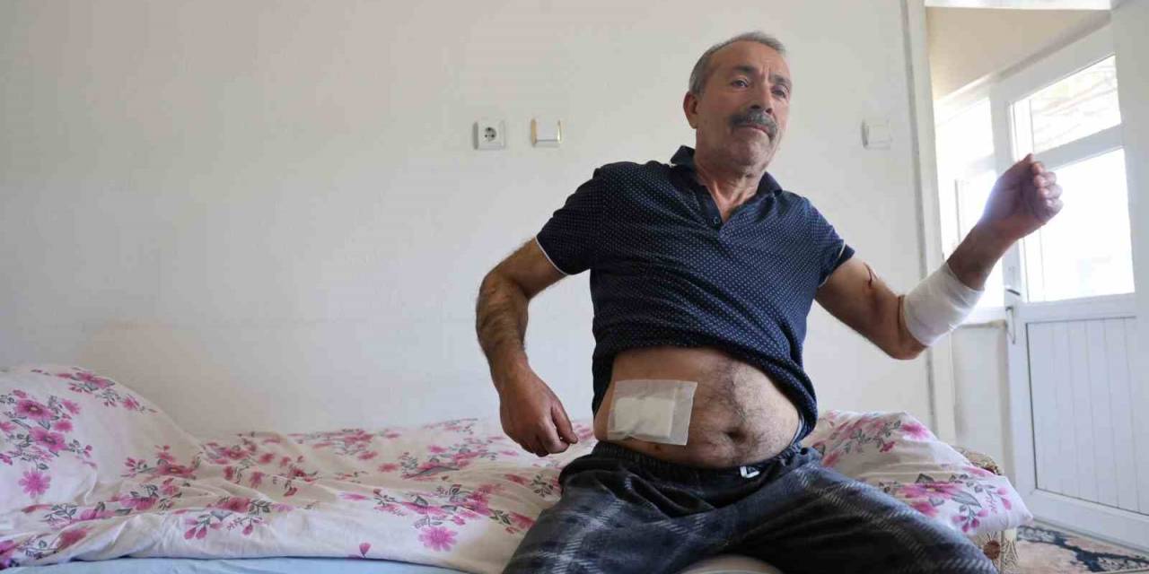 Köpeklerin Saldırdığı Adam Dehşeti Yaşadı