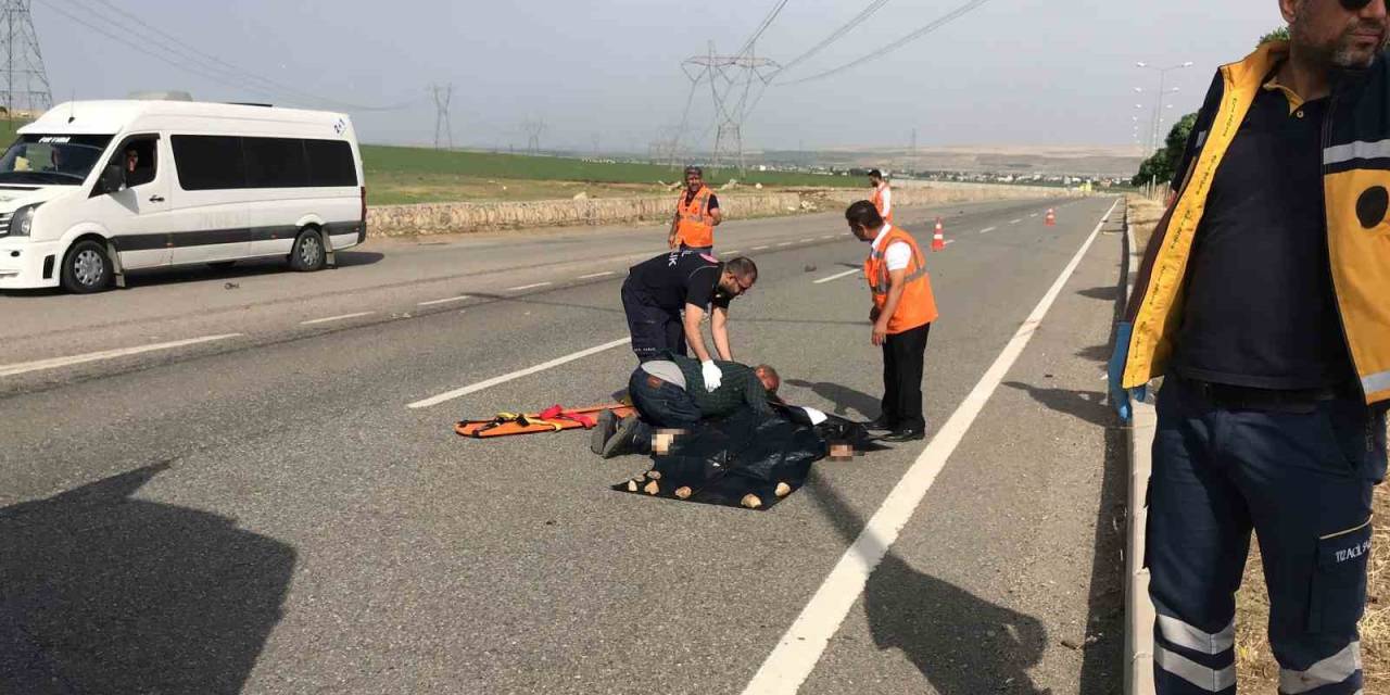 Yolun Karşısına Geçerken Otomobil Çarpan Çoban Hayatını Kaybetti