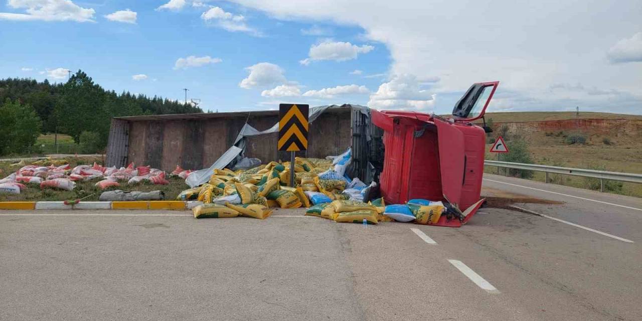 Kontrolden Çıkan Hayvan Yemi Yüklü Tır Devrildi