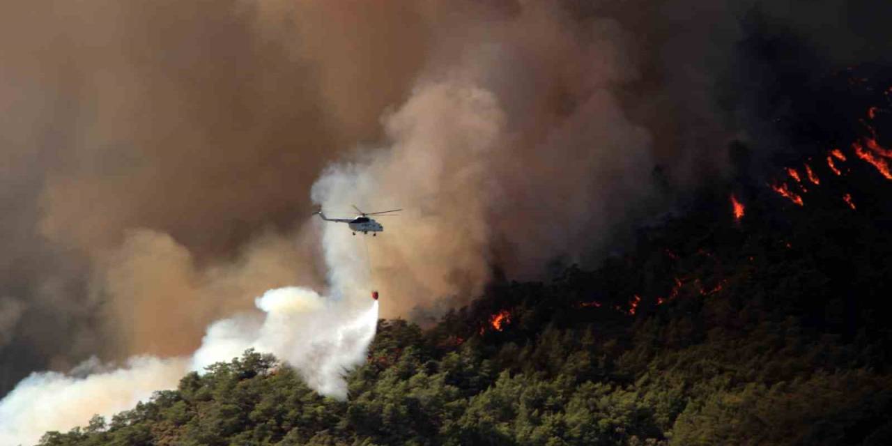 Muğla’da 31 Ekim’e Kadar Ormanlara Giriş Yasaklandı