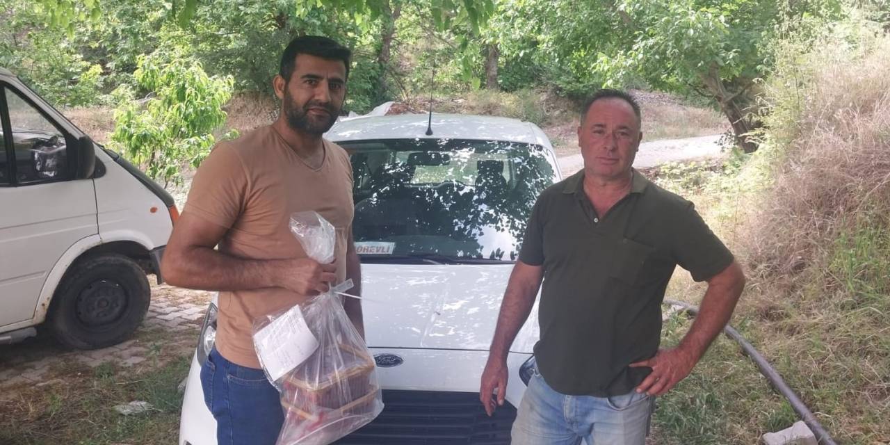 Kuyucak’ta Hasat Öncesi Pestisit Denetimleri