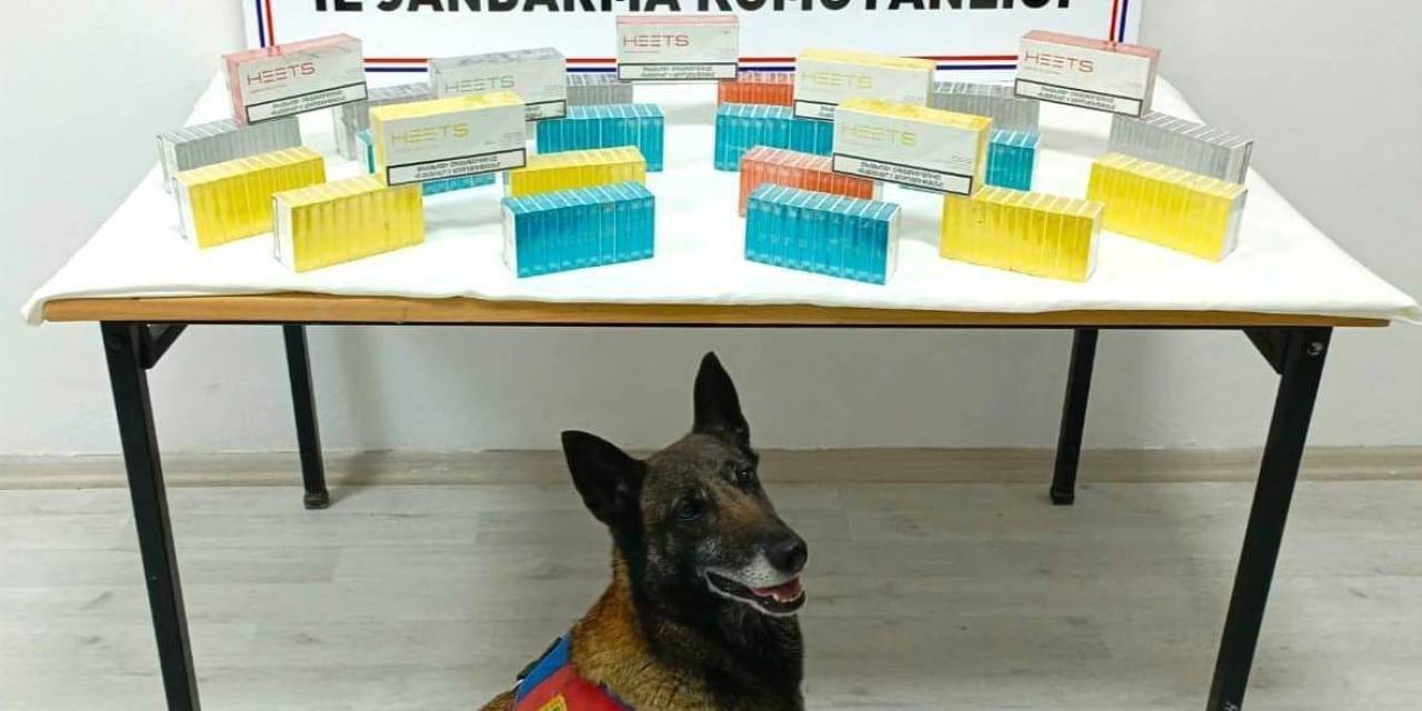 Yolcu Otobüsünde Faturasız Elektronik Sigara Kartuşu Ele Geçirildi