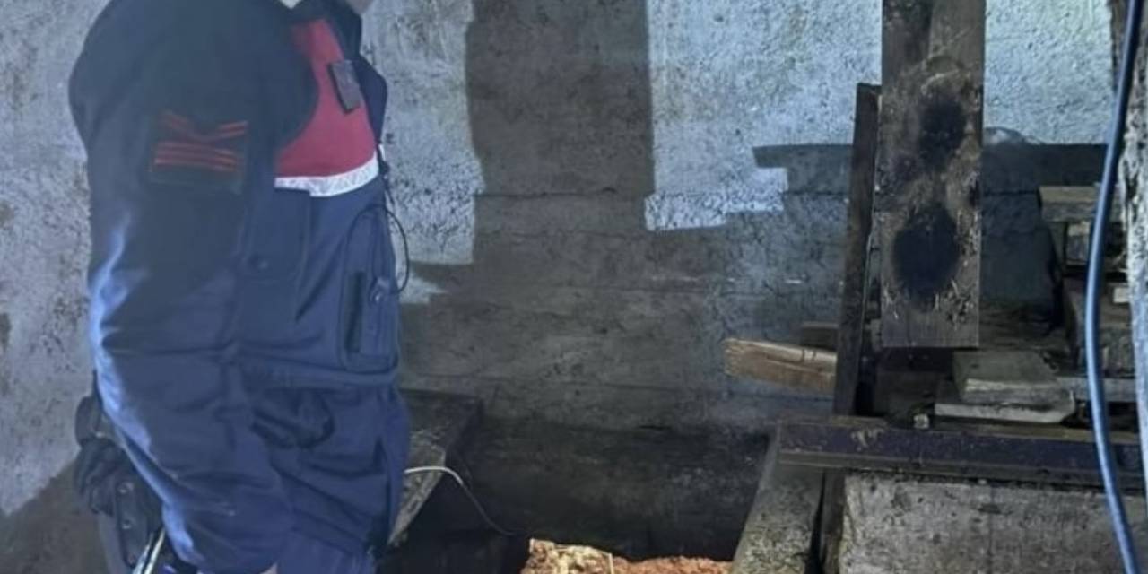 Define Avcıları Çukurda Böyle Yakalandı