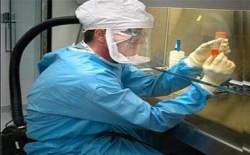 Kaç çeşit kolestrol vardır?