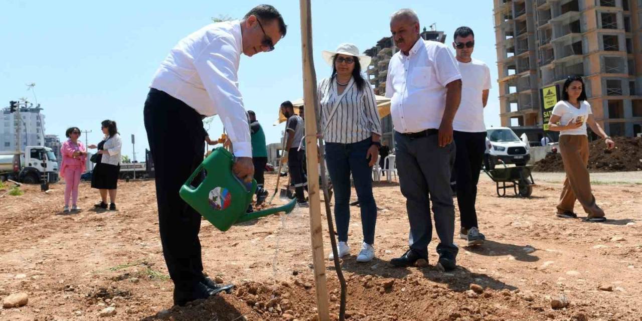 Yenişehir Belediyesi Ağaçlandırma Çalışmalarını Sürdürüyor