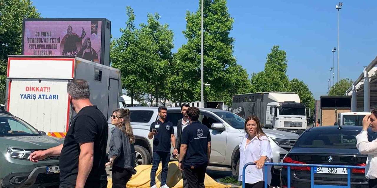 Güzellik Yarışmasında At Kalp Krizi Geçirerek Öldü