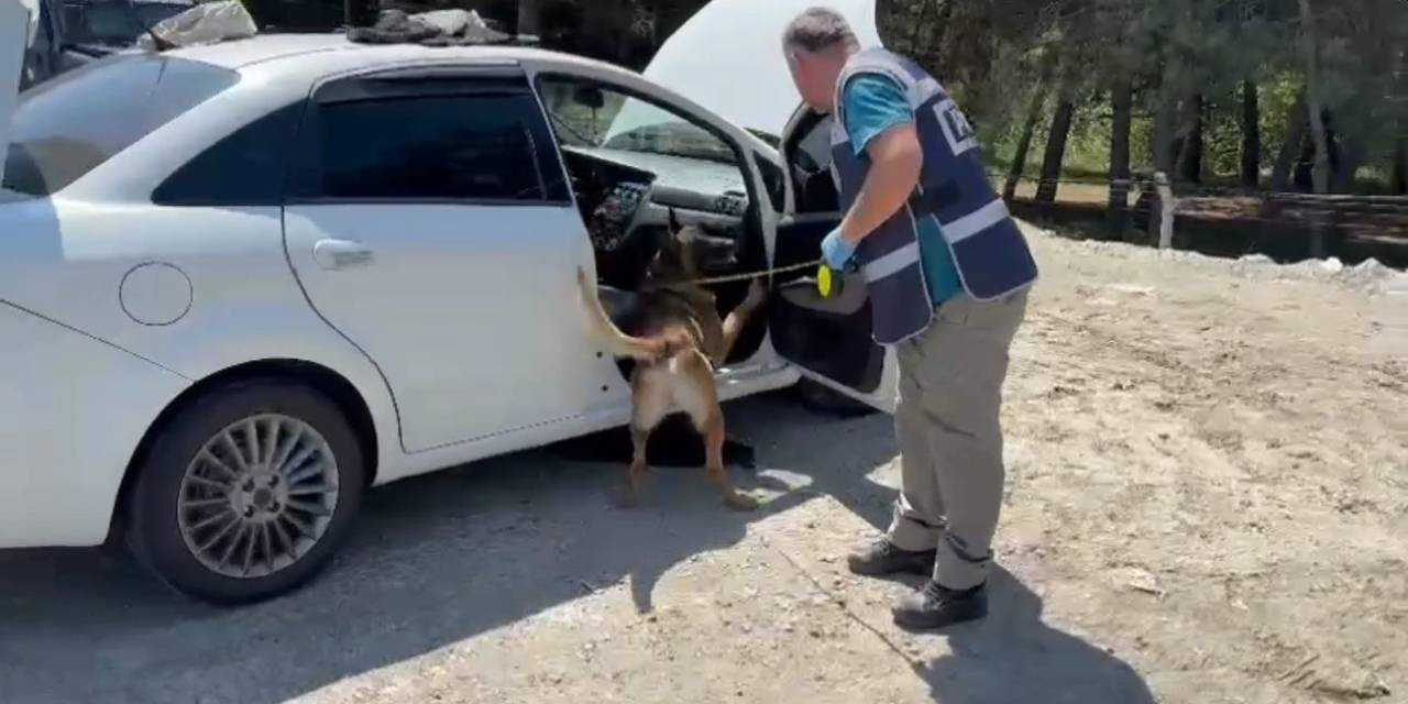 Narkotik Köpeği Zuladaki Uyuşturucuyu Buldu
