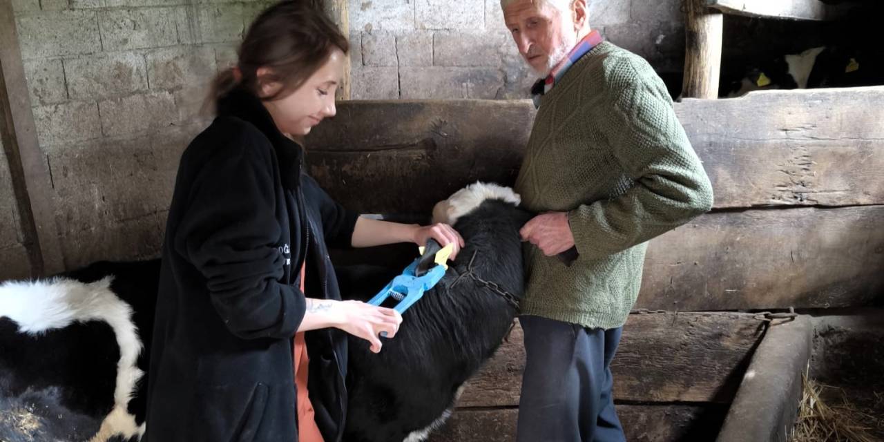 Vize’de Küpeleme Ve Kayıt Altına Alma Çalışması