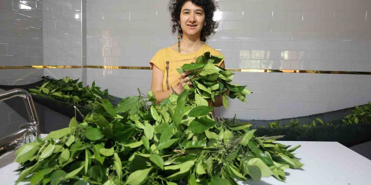 10 Yıllık Mesleğini Bırakan Kadın, Aldığı Devlet Desteğiyle Kendi İşinin Patronu Oldu