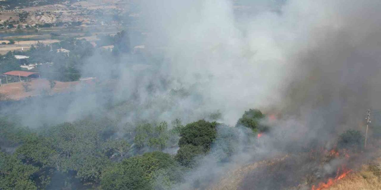 Örtü Yangını Ormana Sıçramadan Söndürüldü