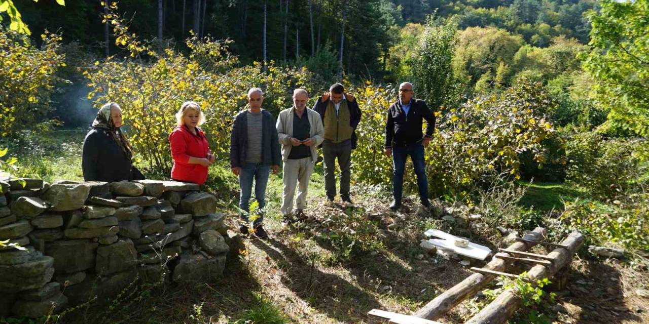 Kastamonu’da Ayılar İlçeyi Mesken Tuttu