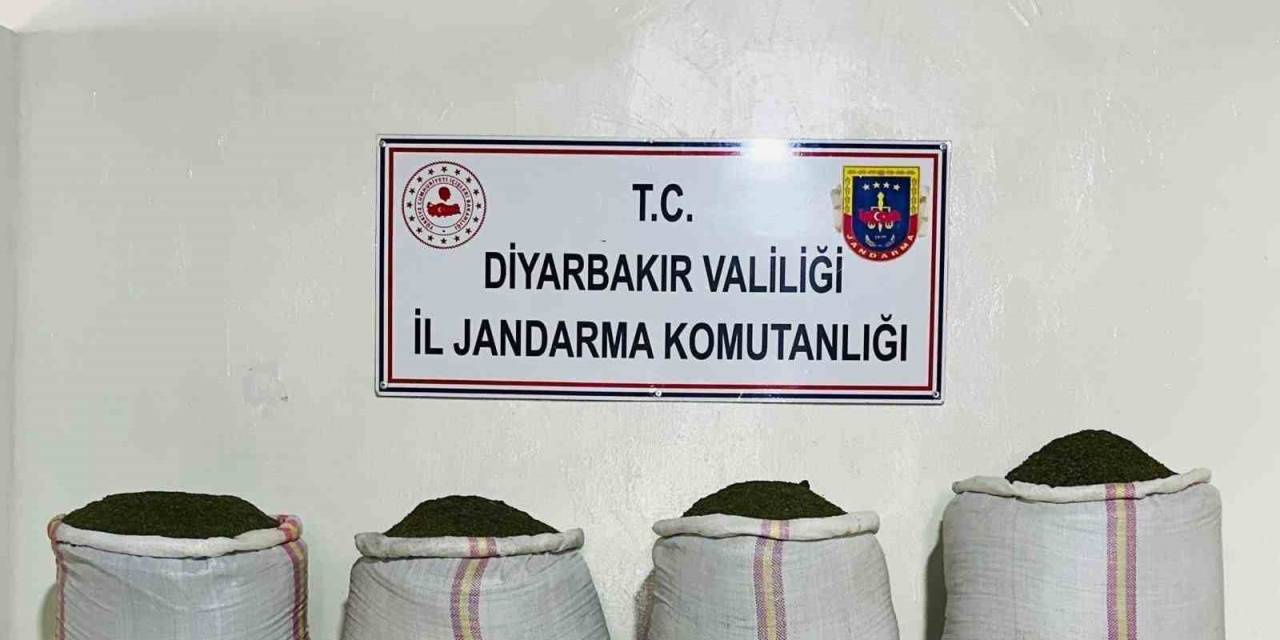 Diyarbakır’da 34 Bin 500 Kök Kenevir Ve 112 Kilo Esrar Ele Geçirildi