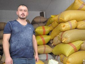 Fındığın Fiyatının Düşük Olmasının Sebebi “Emanete Verilen Fındık”
