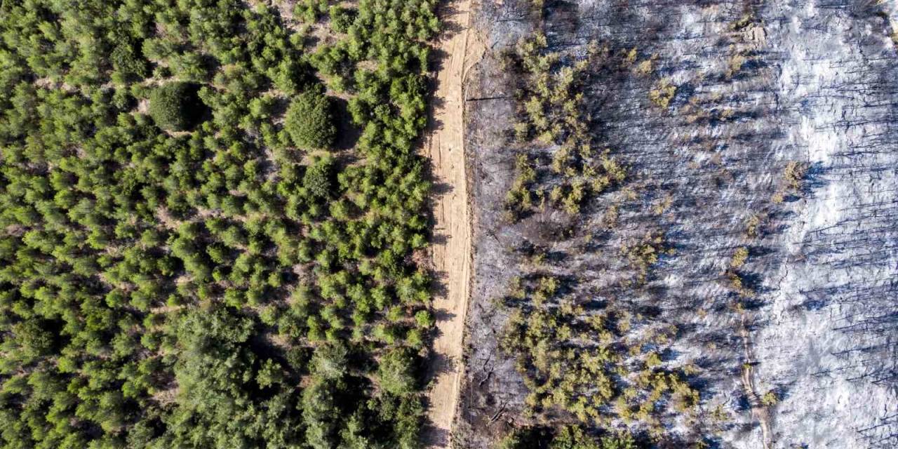 Manisa’da Ormanlara Giriş Yasağı Başladı