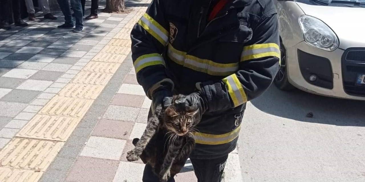 Tırmandığı Ağaçta Mahsur Kalan Kediyi İtfaiye Kurtardı