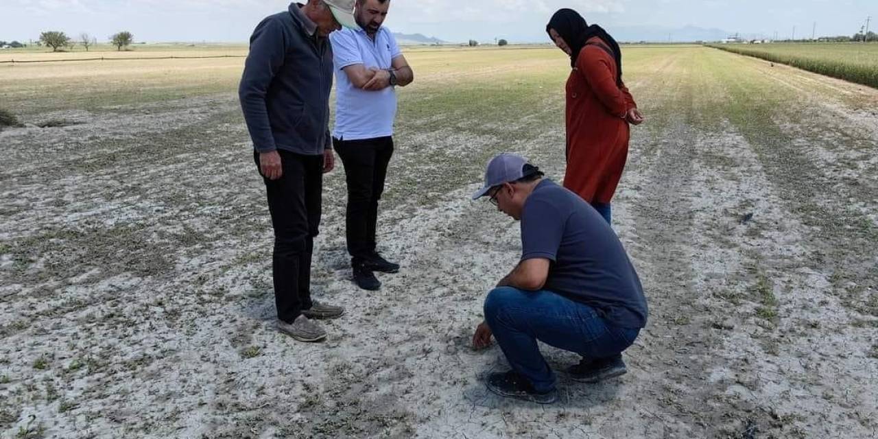 Karapınar’da Tarım Arazilerinde Hasar Tespit Çalışmaları Sürüyor