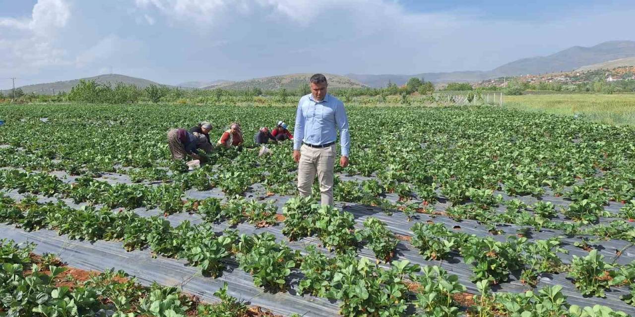 Son Yağışlar Hüyük’te Çiftçilerin Yüzünü Güldürdü