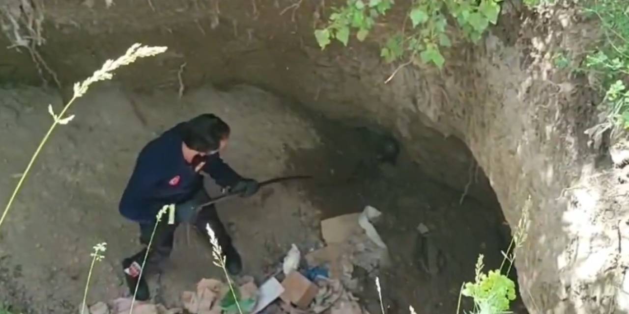 Dev Çukurda Mahsur Kalan Sarsar Kurtarıldı