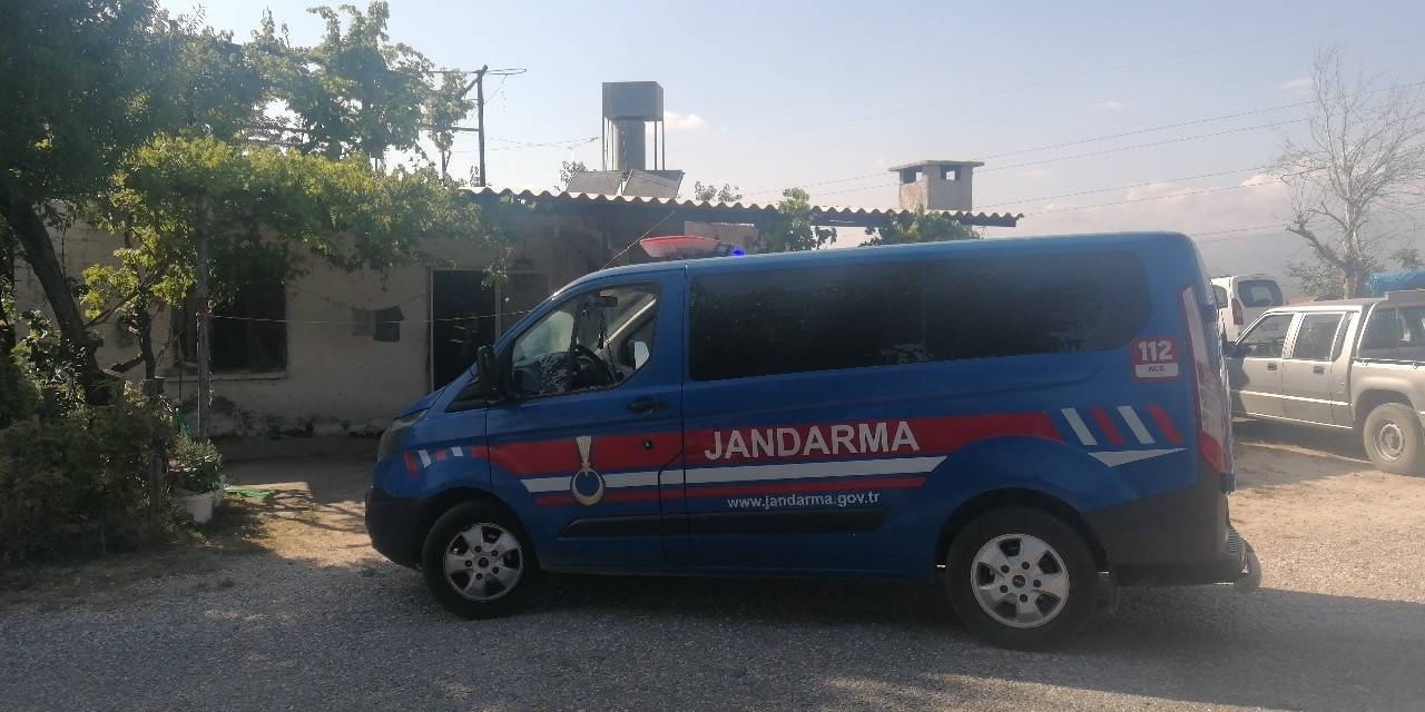 Tilki Yerine Kendini Vurdu