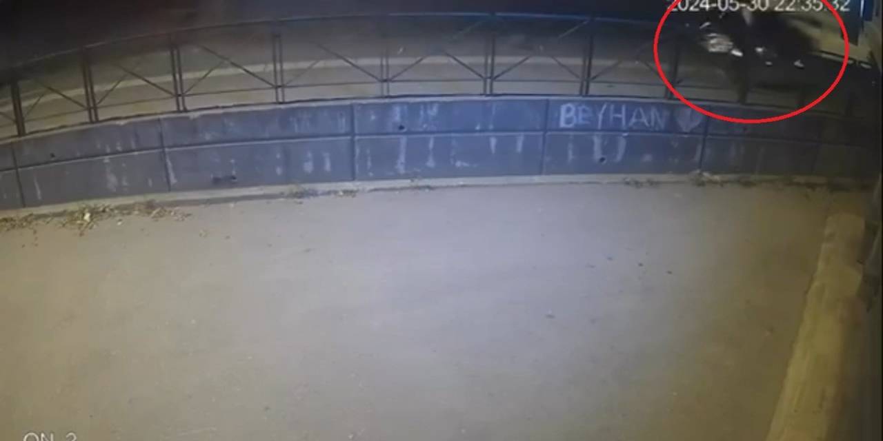 Kontrolden Çıkan Otomobil Ağaca Çarptı, Yaya Ezilmekten Son Anda Kurtuldu