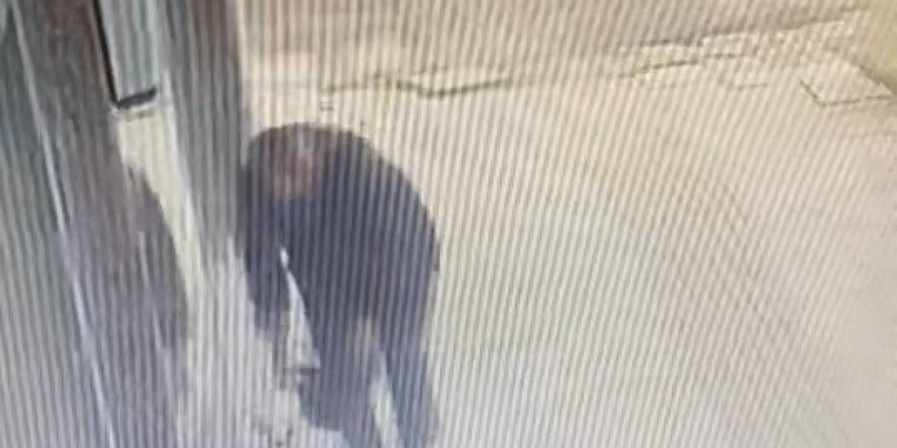 Gözüne Kestirdiği Çiçeği Saksısıyla Birlikte Saniyeler İçerisinde Götürdü