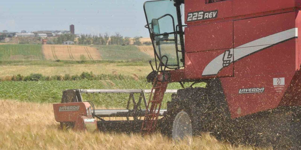 Edirne’de Arpa Hasadı Başladı