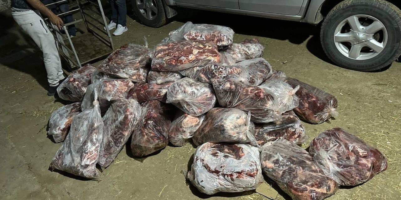 İncirliova’da 1 Ton Domuz Eti Ele Geçirildi