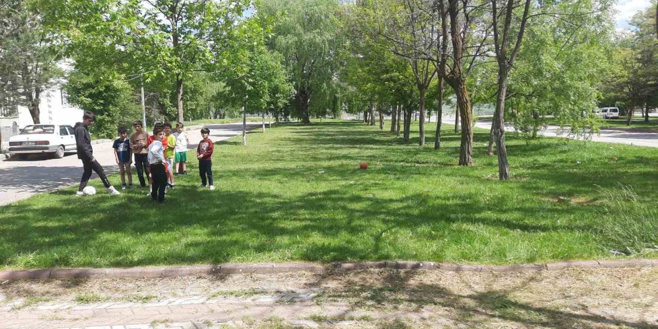 Başıboş Köpekler Sivas’ta Dehşet Saçtı