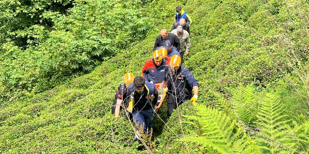 Rize’de kestiği ağacın altında kalan kişi yaralandı