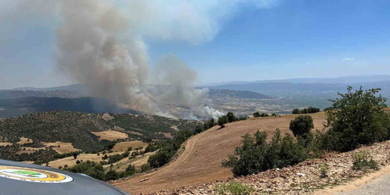 Manisa Valiliğinden Yangına İlişkin Açıklama