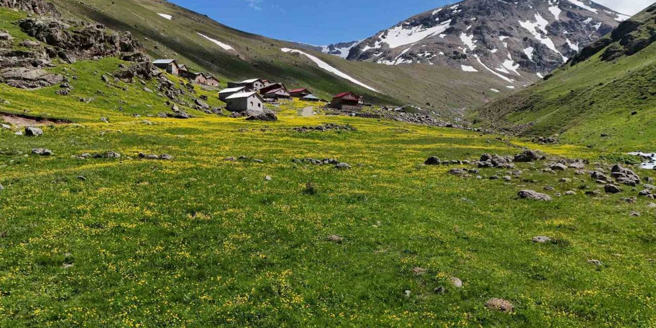 Dulağa Yaylası’nın Alpler’i Aratmayan Güzelliği