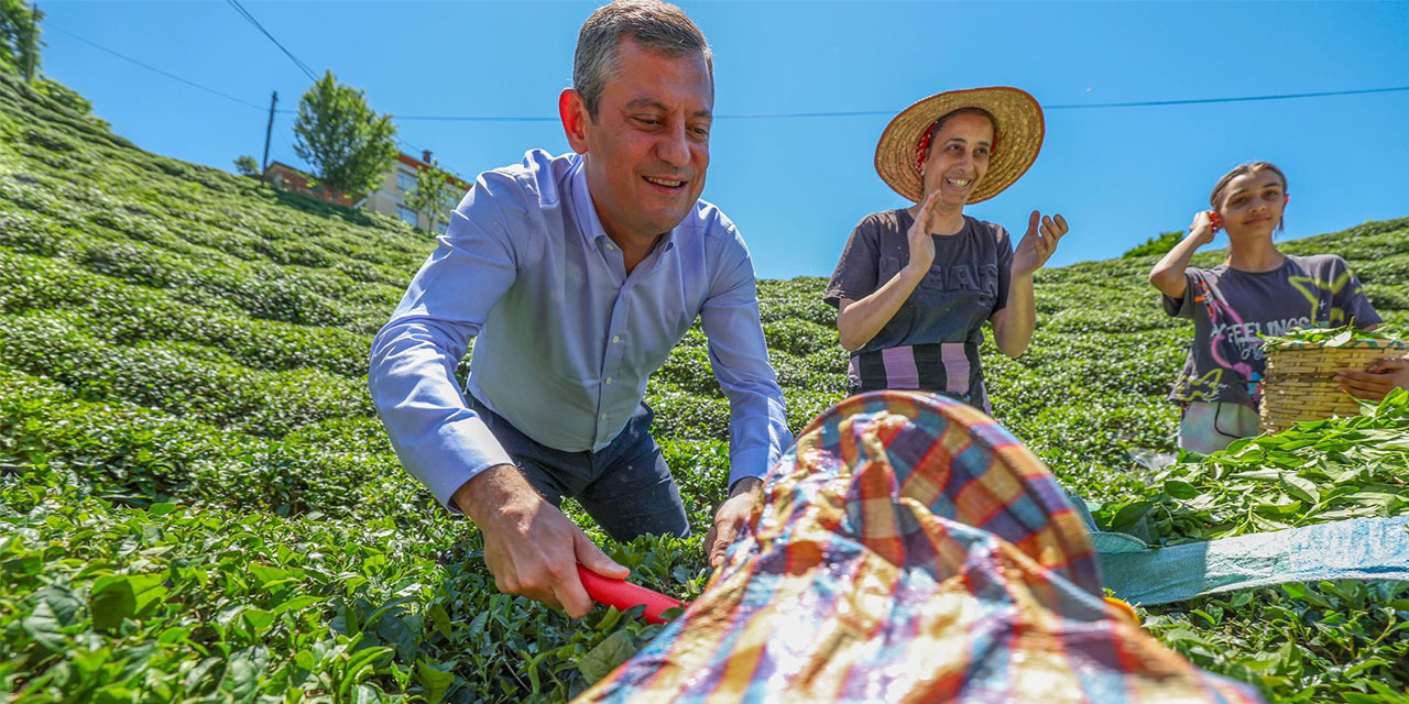 CHP Genel Başkanı Özel, Rize'de çay hasadında bulundu