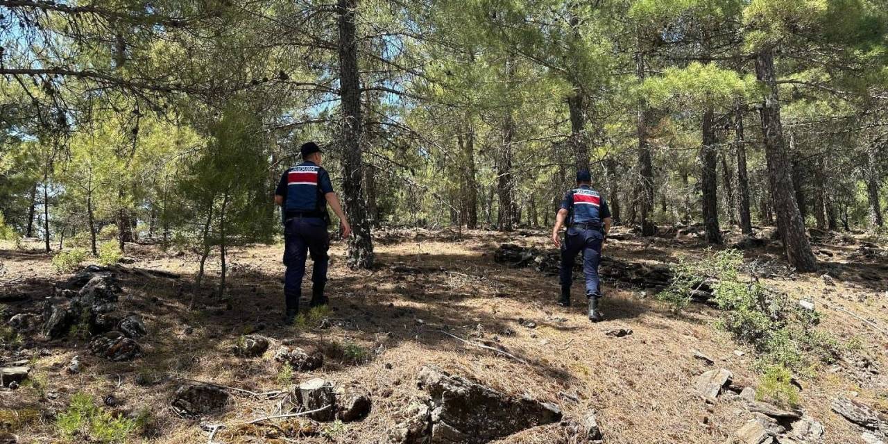 Jandarmadan ’orman Yangını’ Tedbiri