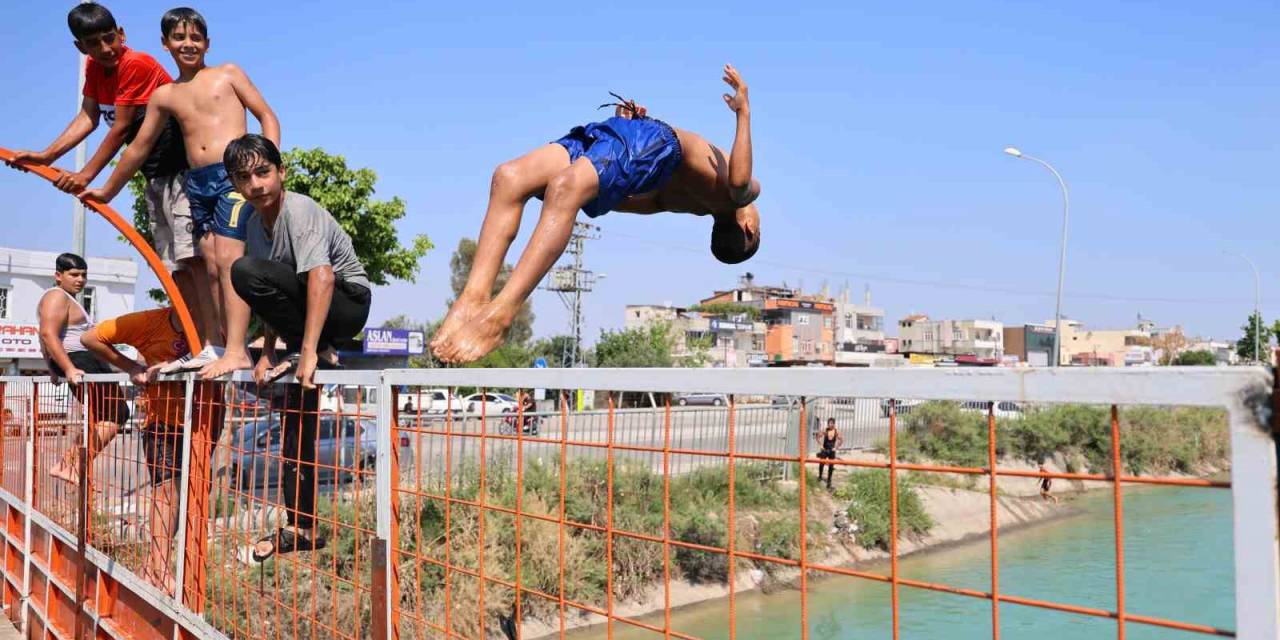 Yüzme Bilmeyeni Boğulmasın Diye Dövüyorlar