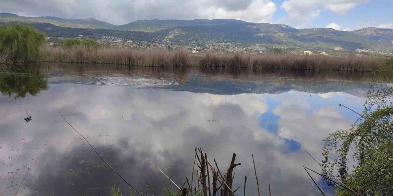 Verimli Araziler Balık Havuzu Oldu