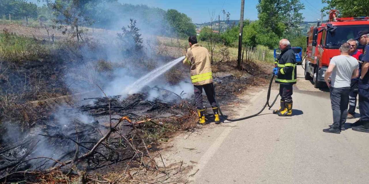 Sinop’ta Kuru Dallar Yandı, Elektrik Direği Zarar Gördü