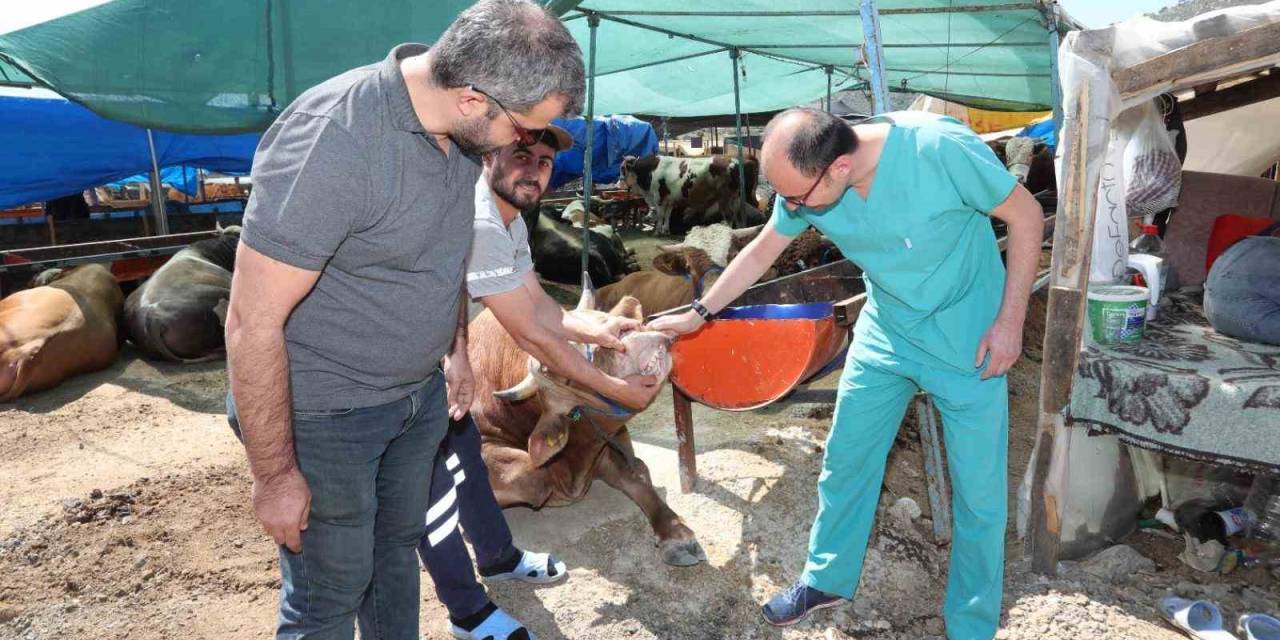 Bayraklı’da Kurban Bayramı’na Hazırlıkları