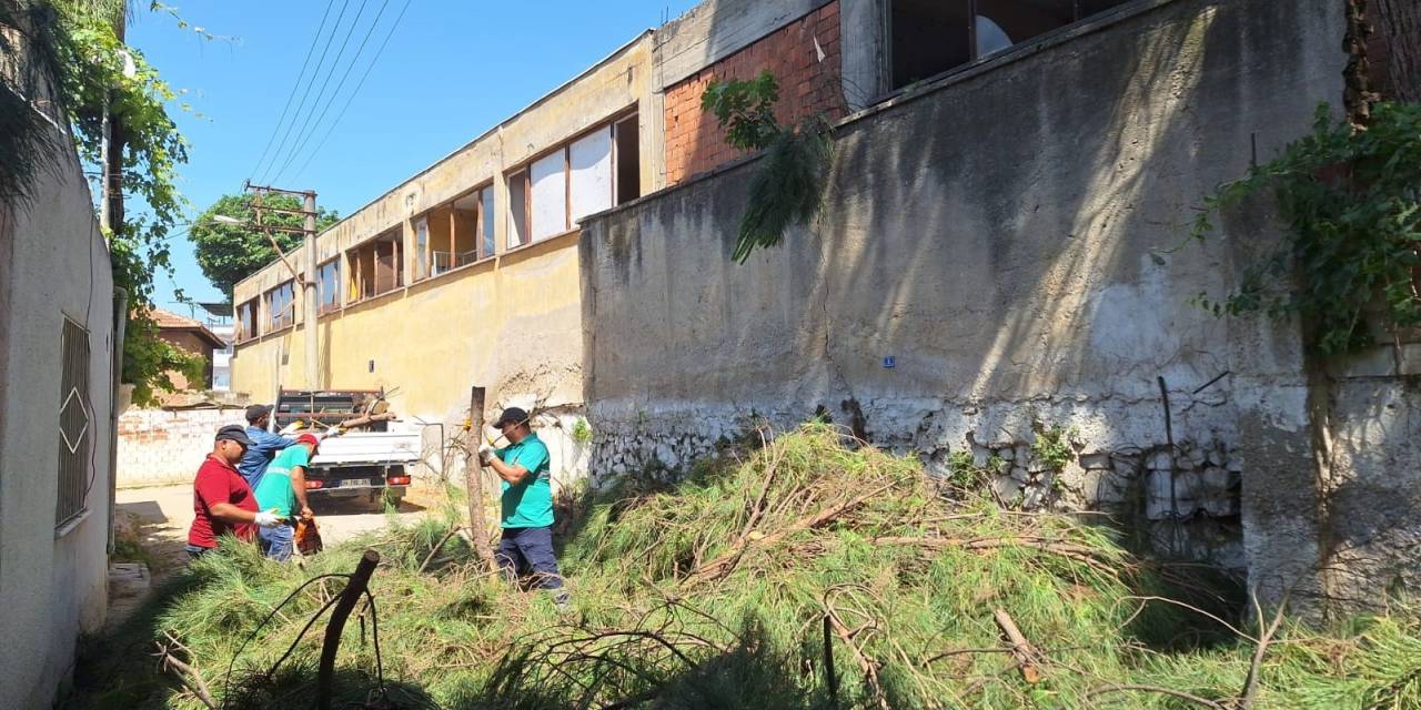 Efeler’de Elektrik Tellerine Temas Eden Ağaçlar Budandı