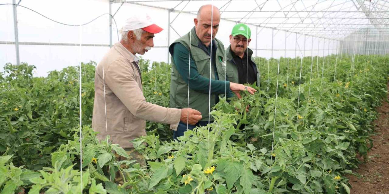 Erzincan Son Yıllarda Yapılan Yatırımların Meyvelerini Toplamaya Başladı