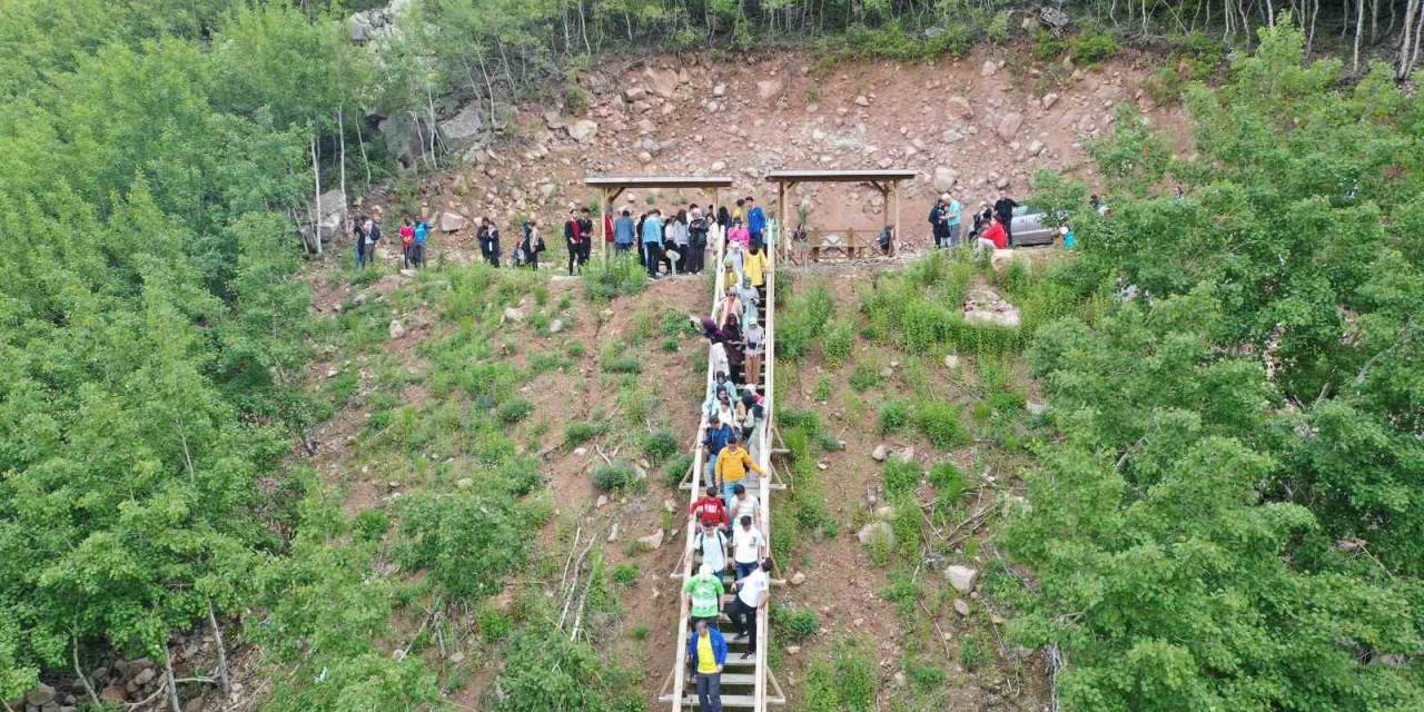 Doğaseverlerin Gözde Mekanı Ortaseki Ormanları