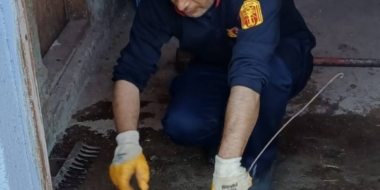 Eve Giren Yılanı İtfaiye Ekipleri Yakaladı